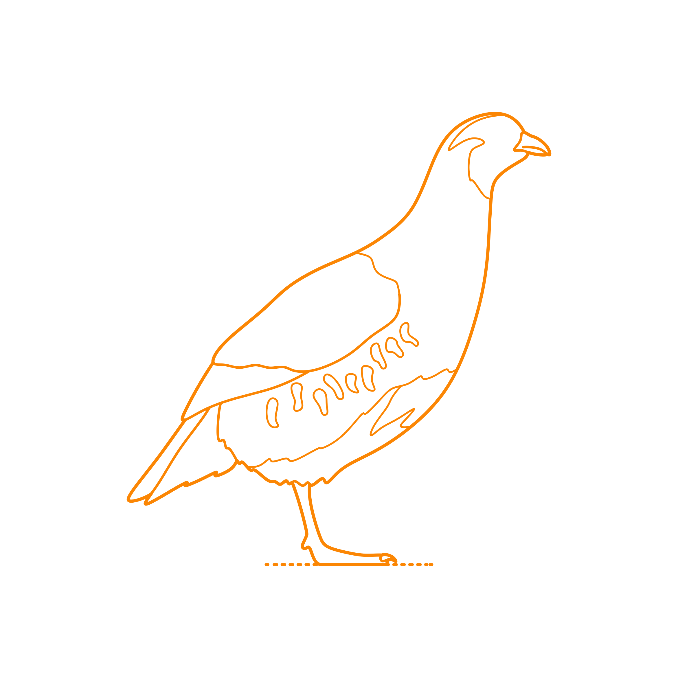 Animals Gamefowl Grey Partridge Stencil Svg Design File Free Vectors